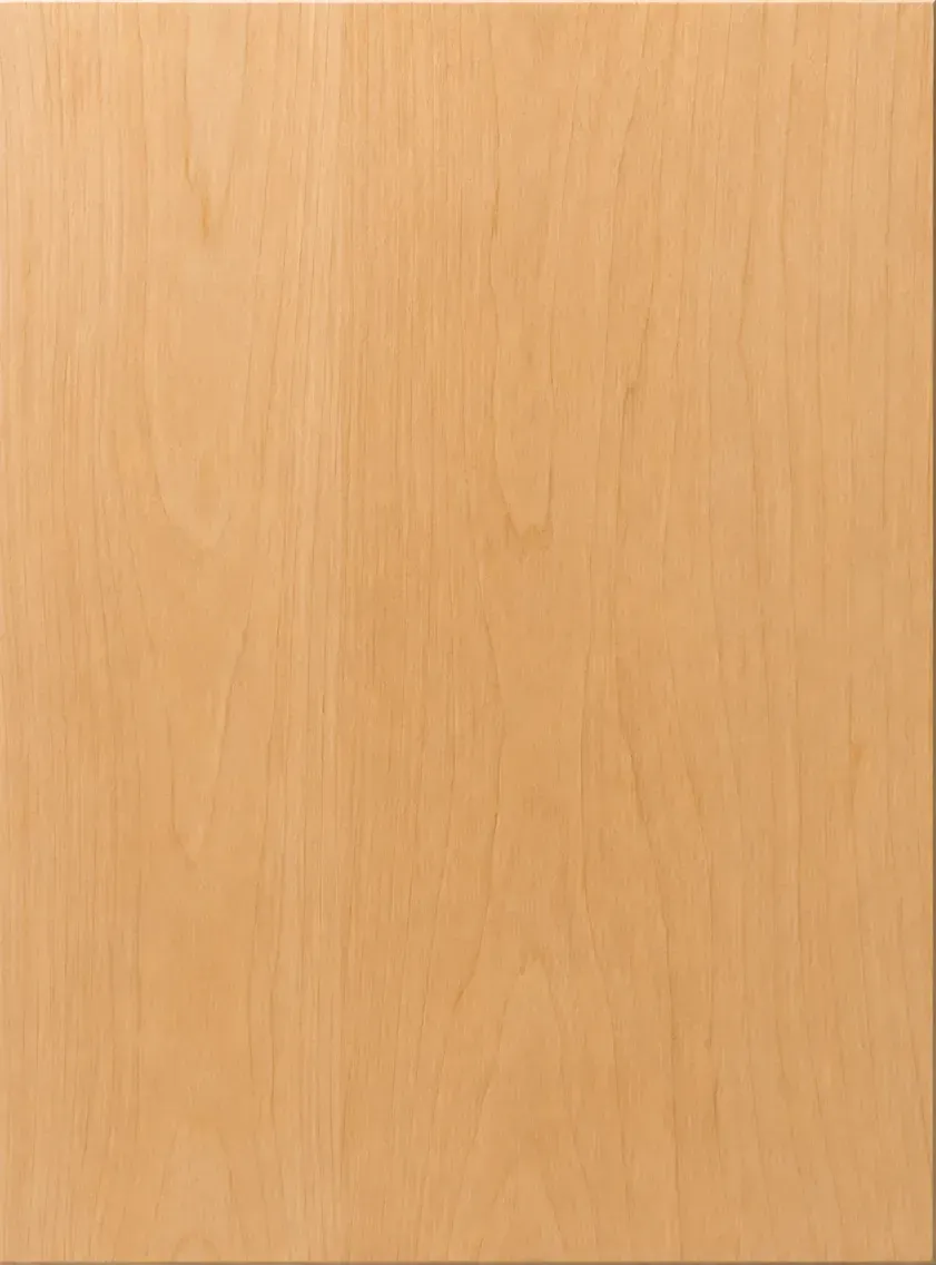 Slab Panel