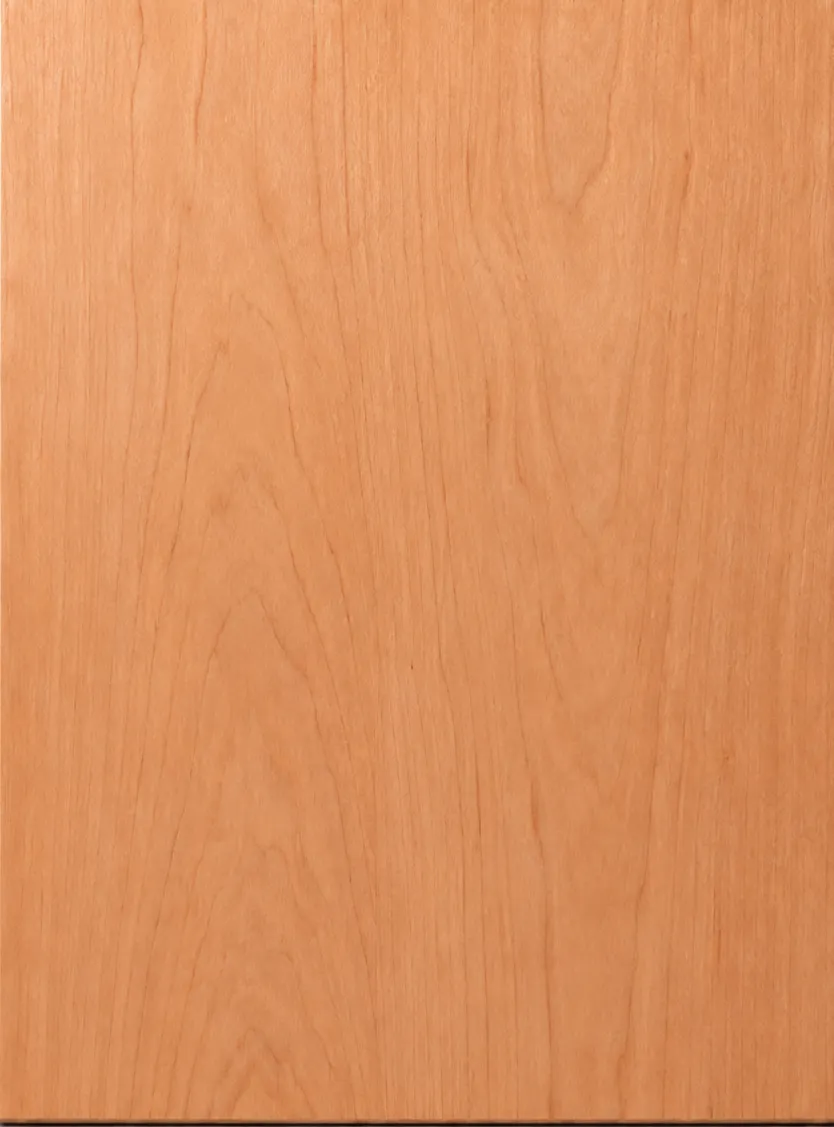 Slab Panel 